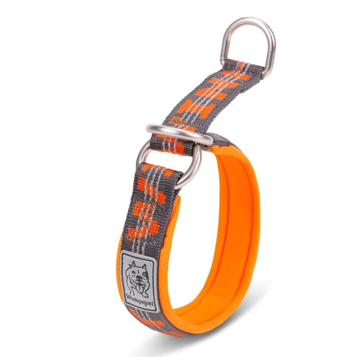Lightweight Reflective Collar for Pets