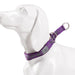 Lightweight Reflective Collar for Pets