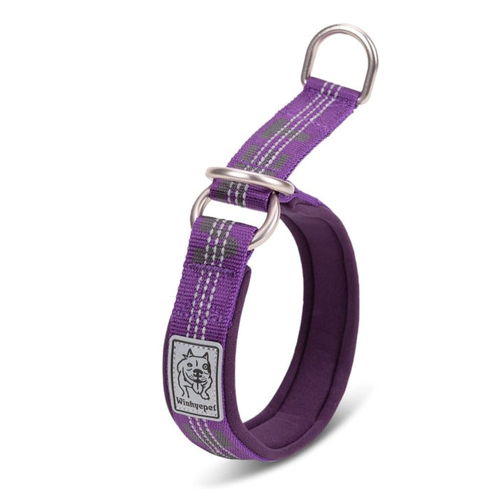 Lightweight Reflective Collar for Pets