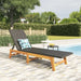 Sun Lounger Black and Brown Poly Rattan&solid Wood Acacia