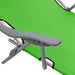 Sun Lounger with Canopy Steel Green Tobttp