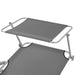 Sun Lounger with Canopy Steel Grey Axkta