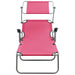Sun Lounger With Canopy Steel Pink Tobtti