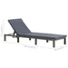 Sun Lounger with Cushion Poly Rattan Anthracite Aiipx