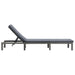 Sun Lounger with Cushion Poly Rattan Anthracite Aiipx