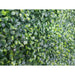 Mixed Boxwood Hedge Panels Screens Uv Resistant 1m x