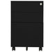 Mobile File Cabinet Black 39x45x60 Cm Steel Ttpknb