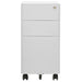 Mobile File Cabinet Light Grey 30x45x59 Cm Steel Ttpknt