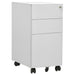 Mobile File Cabinet Light Grey 30x45x59 Cm Steel Ttpknt