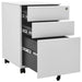 Mobile File Cabinet Light Grey 39x45x60 Cm Steel Ttpkik
