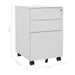 Mobile File Cabinet Light Grey 39x45x60 Cm Steel Ttpkik