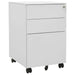 Mobile File Cabinet Light Grey 39x45x60 Cm Steel Ttpkik