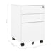Mobile File Cabinet White 39x45x60 Cm Steel Ttpkin