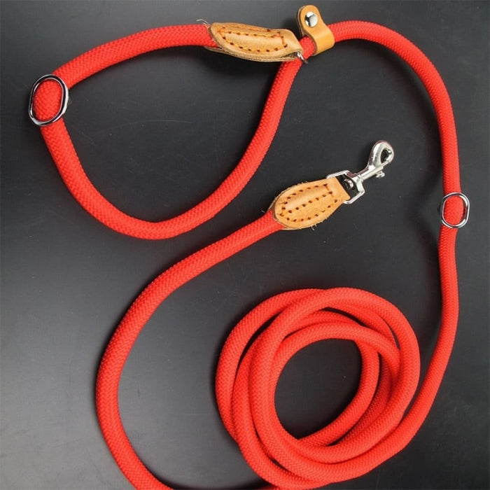 Multifunctional Dog Leash with p Shape Collar