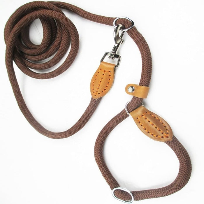 Multifunctional Dog Leash with p Shape Collar