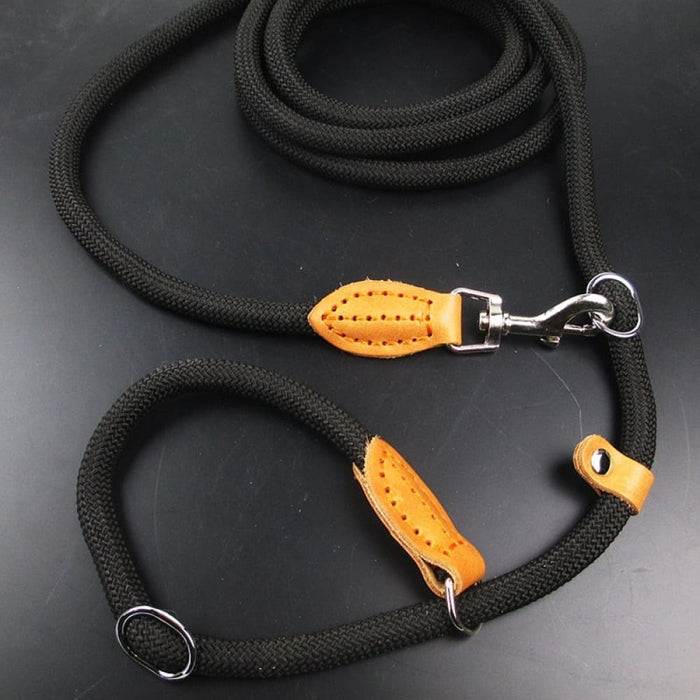Multifunctional Dog Leash with p Shape Collar
