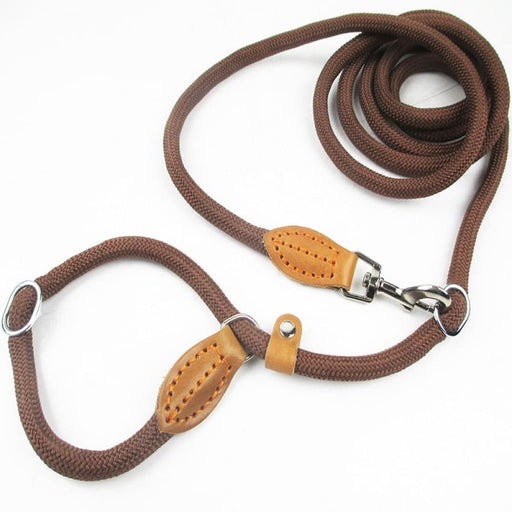 Multifunctional Dog Leash with p Shape Collar