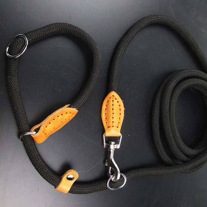 Multifunctional Dog Leash with p Shape Collar