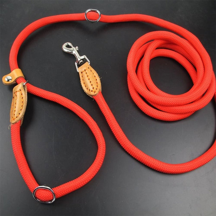 Multifunctional Dog Leash with p Shape Collar