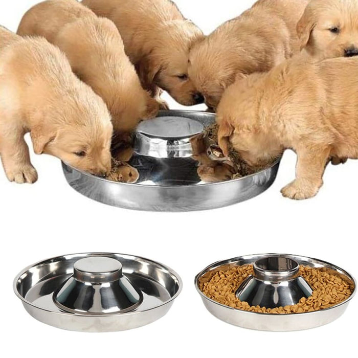 Multiple Safe Stainless Steel Water Food Pet Bowl for Small