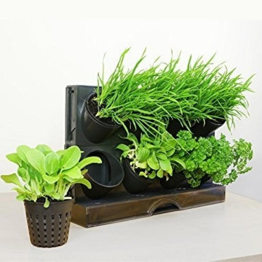 Nz Local Stock- Countertop Vertical Garden