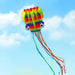 3d Octopus Soft Kite 5m Giant with 100m Tire Line Kites