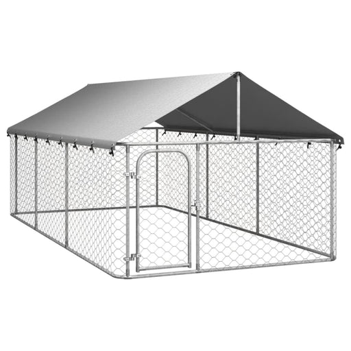 Outdoor Dog Kennel with Roof 400x200x150 Cm Oioakk