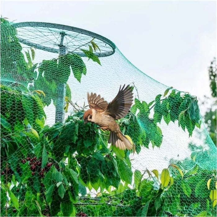 Outdoor Green Pe Bird Proof Net Fruit Tree Cover Fence
