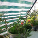 Outdoor Hdpe Stripe Sunshade Net Garden Plants Sail