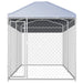 Outdoor Dog Kennel with Canopy Top Oapbxa