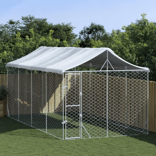 Outdoor Dog Kennel with Roof Silver 3x6x2.5 m Galvanised