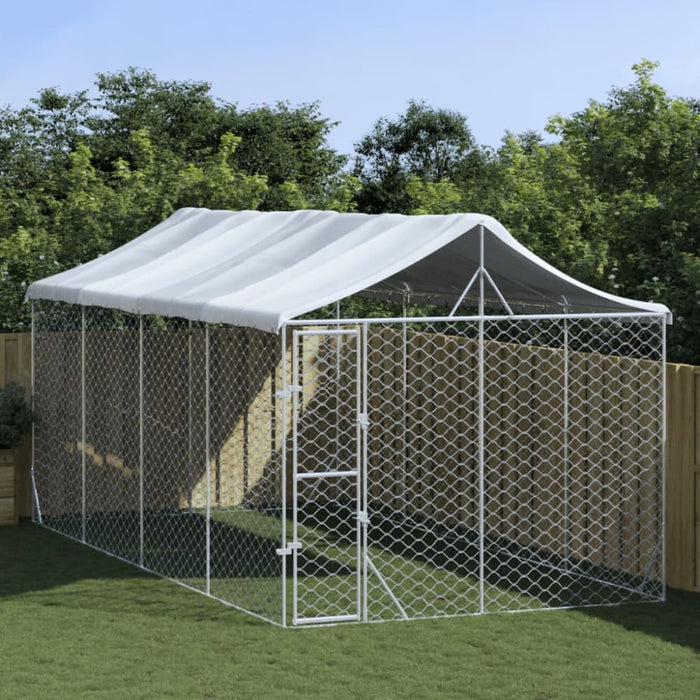 Outdoor Dog Kennel with Roof Silver 3x6x2.5 m Galvanised