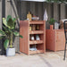 Outdoor Kitchen Cabinet 55x55x92 Cm Solid Wood Douglas