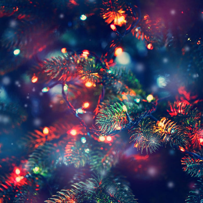 Outdoor Led Plug in Fairy Lights - Multicoloured - 200