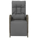 Outdoor Reclining Chairs with Cushions 2 Pcs Poly Rattan