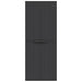 Outdoor Storage Cabinet Black 65x37x165 Cm Pp Tlaxbp