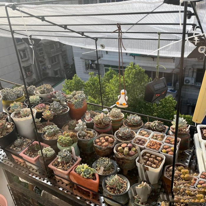 Outdoor Tarpaulin Pvc Rainproof Windproof Anti-tearing