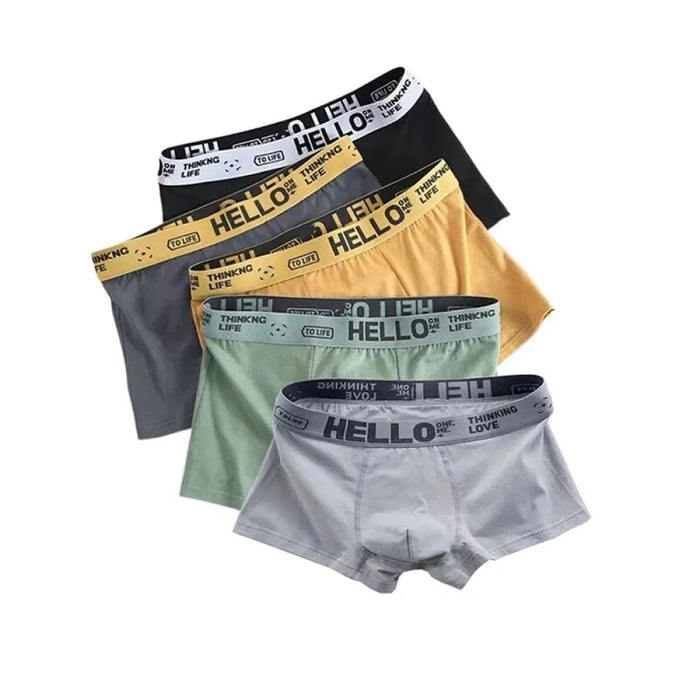 Pack Of 5 Mens Breathable Boxer Briefs Comfortable