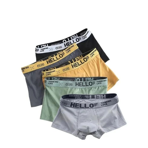 Pack Of 5 Mens Breathable Boxer Briefs Comfortable