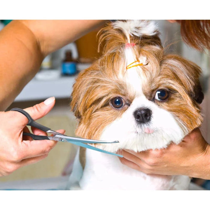 Pet Grooming Scissors Durable Stainless Steel Shears