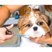 Pet Grooming Scissors Durable Stainless Steel Shears