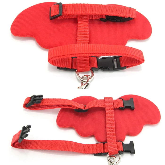 Pet Leash And Collar Set For Small Dogs Cats