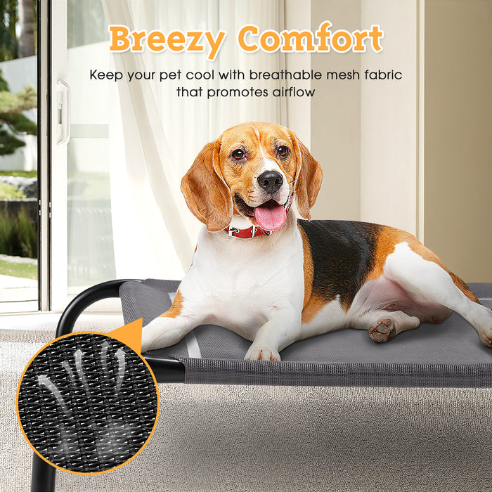 Cooling Elevated Pet Dog Bed Washable Breathable Mesh Heavy Duty Xxl Grey