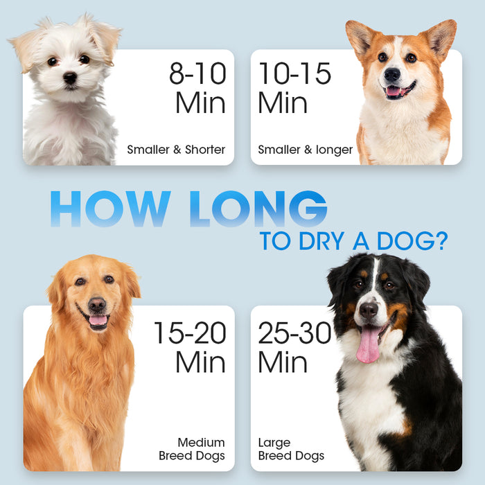 3200W Pet Hair Dryer Blow Cat Dog Grooming Hairdryer Blower 3 Nozzles