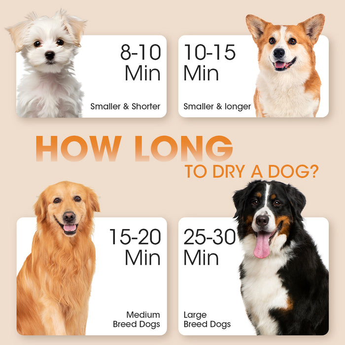 3200W Pet Hair Dryer Blower Lcd Touch Cat Dog Grooming 4 Nozzles