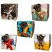 Pet Photo Booth Frame | 5 Scenes