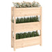 Planter 77x25x104.5 Cm Solid Wood Pine Nxtkta