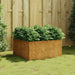 Planter 80x80x40 Cm Corten Steel Nxapto