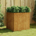 Planter 80x80x80 Cm Corten Steel Nxapti