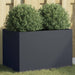 Planter Anthracite 62x40x39 Cm Cold-rolled Steel Naopki